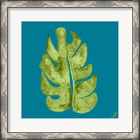 Framed Leaf On Teal II