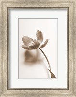 Framed Delicate Floral I