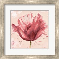 Framed Flower in Pink