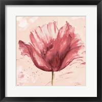 Framed Flower in Pink