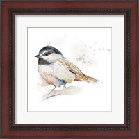 Framed Watercolor Mountain Bird II