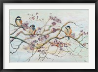 Framed Birds On Cherry Blossom Branch