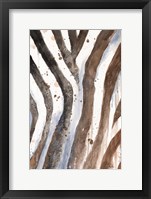 Framed Watercolor Animal Skin II