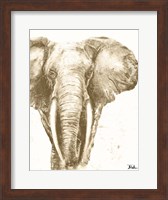 Framed Muted Elephant