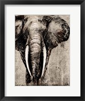 Framed Elephant on Newspaper