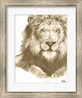 Framed Muted Lion