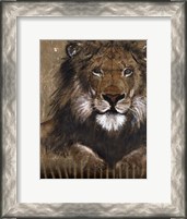 Framed Brown Lion