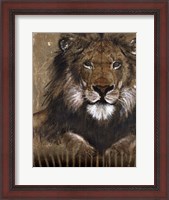 Framed Brown Lion