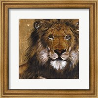 Framed Lion on Gold