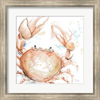 Framed Water Crab