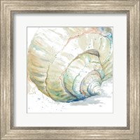 Framed Water Conch