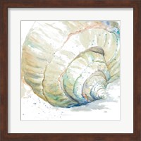 Framed Water Conch