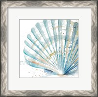 Framed 'Water Shell' border=