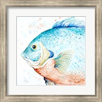 Framed Water Fish