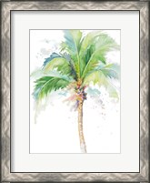 Framed Watercolor Coconut Palm