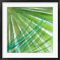 Framed Palm Greens I