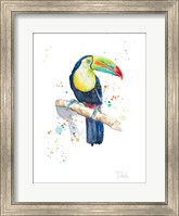 Framed Watercolor Toucan