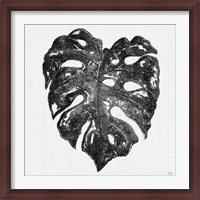 Framed Dark Leaf Palm II