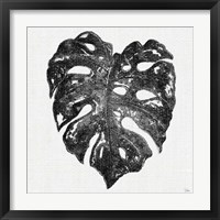 Framed 'Dark Leaf Palm II' border=