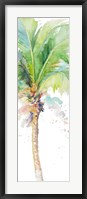 Framed Watercolor Coconut Palm Panel