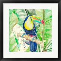 Framed Colorful Toucan