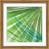 Framed Green Palms II
