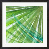 Framed Green Palms II