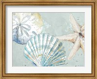 Framed Beach Shells