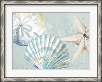 Framed Beach Shells