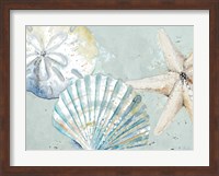 Framed Beach Shells