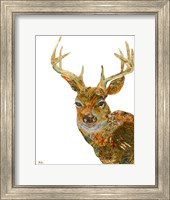 Framed Retro Deer