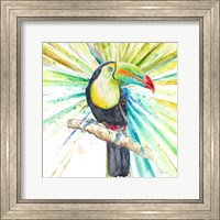 Framed Bright Tropical Toucan
