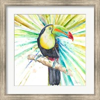 Framed Bright Tropical Toucan