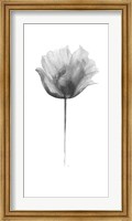 Framed Flower in Gray Panel I