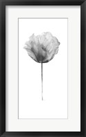 Framed Flower in Gray Panel II