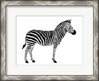 Framed Zebra