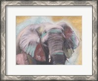 Framed Elephant Close Up