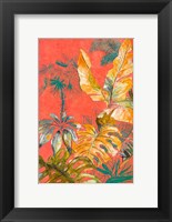 Framed Orange Palm Selva I