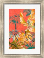 Framed Orange Palm Selva I