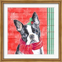 Framed Holiday Puppy II
