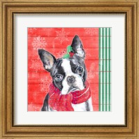 Framed Holiday Puppy II