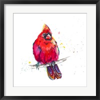 Christmas Cardinal III Framed Print