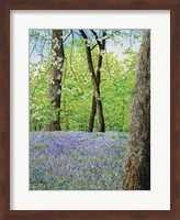 Framed Blue Bells