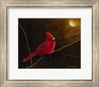 Framed Cardinal In The Moonlight