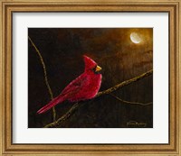 Framed Cardinal In The Moonlight
