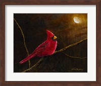 Framed Cardinal In The Moonlight