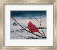 Framed Cardinal In A Pastel Sky