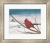 Framed Auburn Cardinal