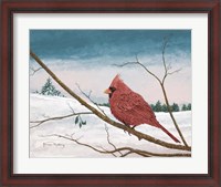 Framed Auburn Cardinal