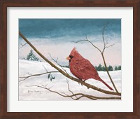 Framed Auburn Cardinal